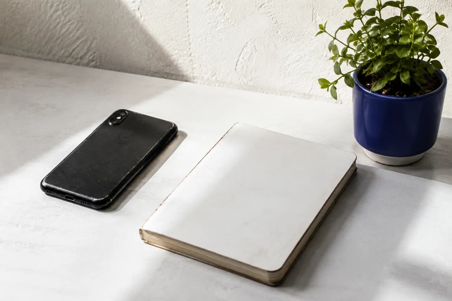A worn phone and blank notebook beside a healthy plant.